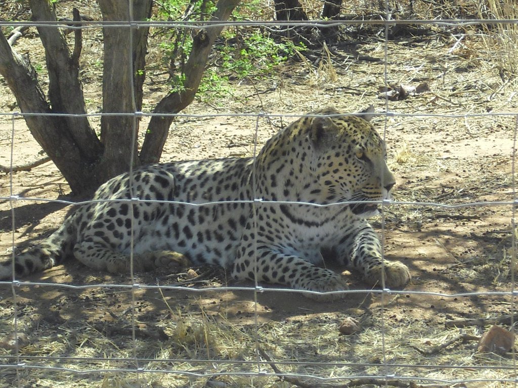 Image CIMG8965.JPG