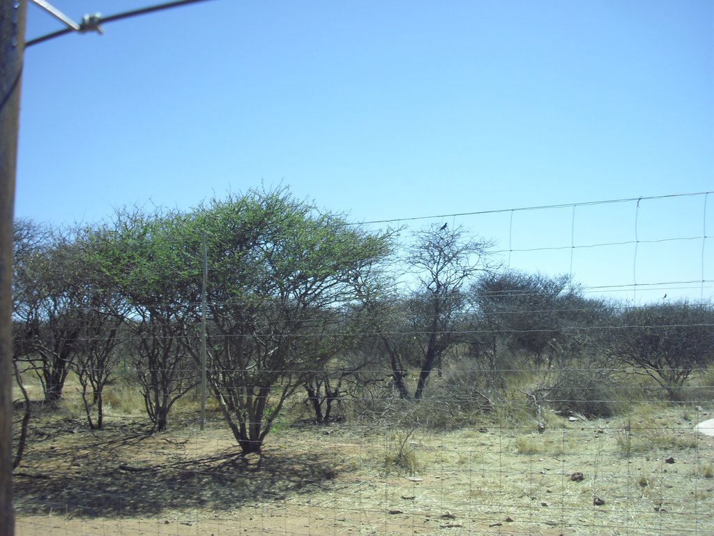 Image CIMG8980.JPG