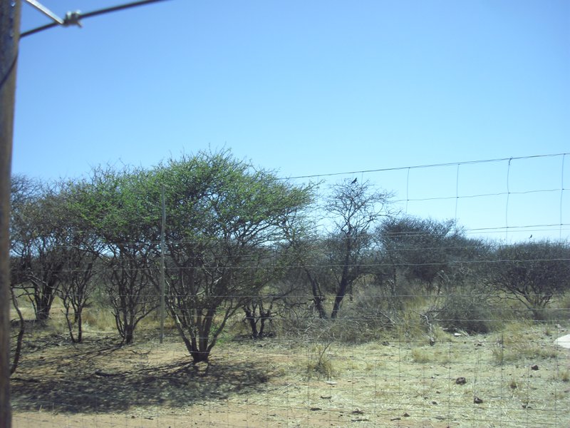 Image CIMG8980.JPG