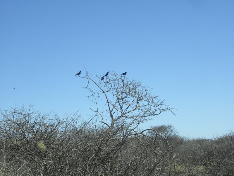 Image CIMG8983.JPG