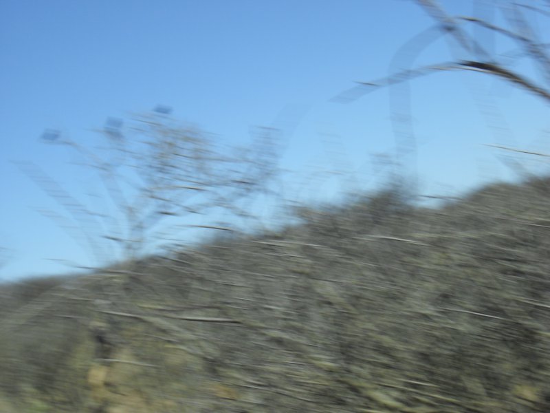 Image CIMG8984.JPG
