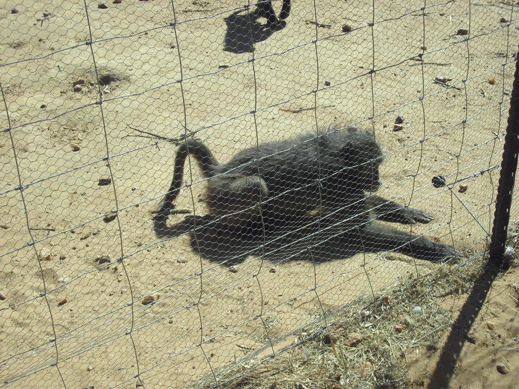 Image CIMG8987.JPG