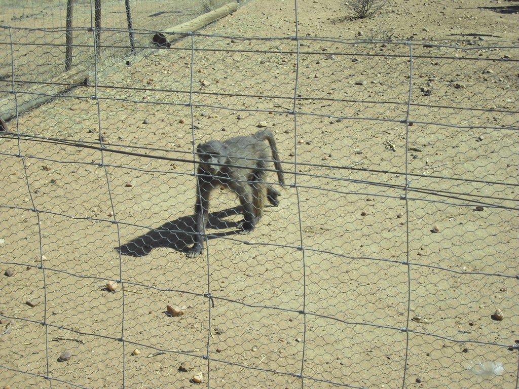 Image CIMG8988.JPG