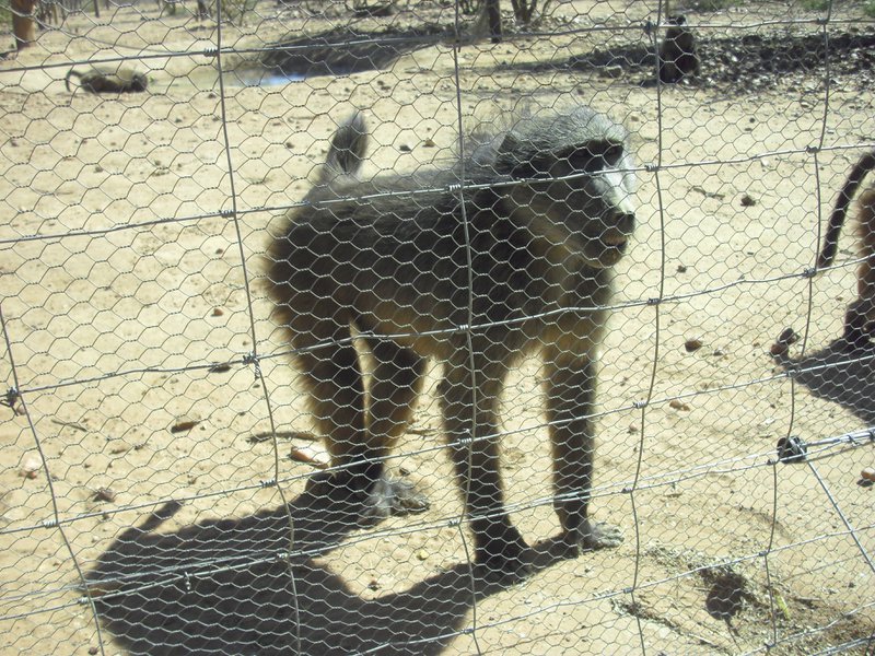 Image CIMG8989.JPG