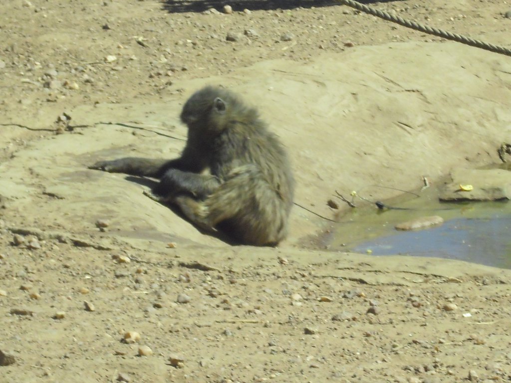 Image CIMG8992.JPG