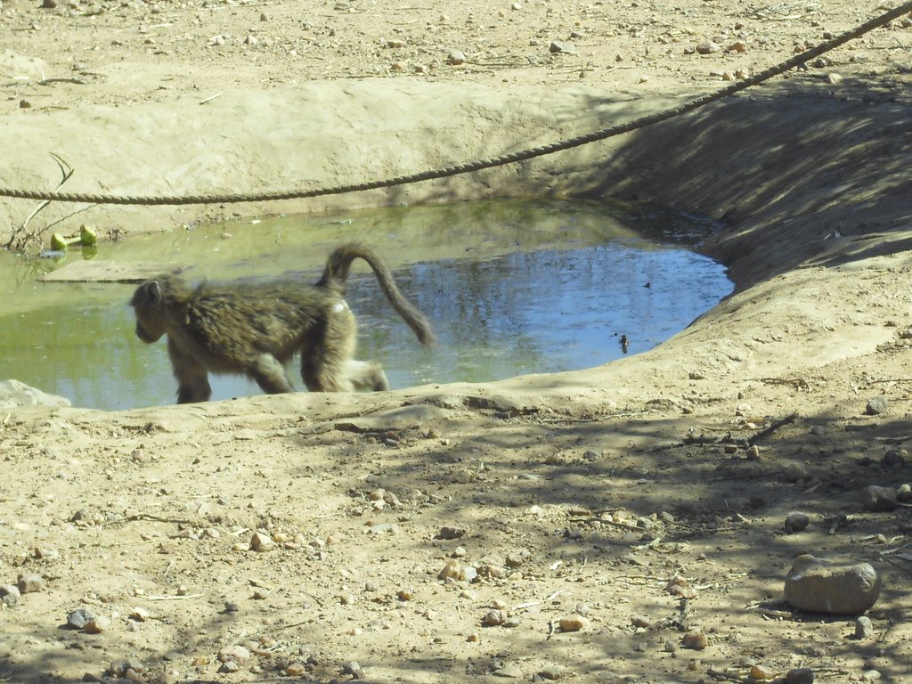 Image CIMG8993.JPG