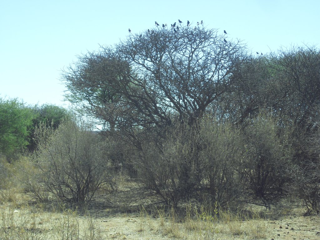Image CIMG9002.JPG