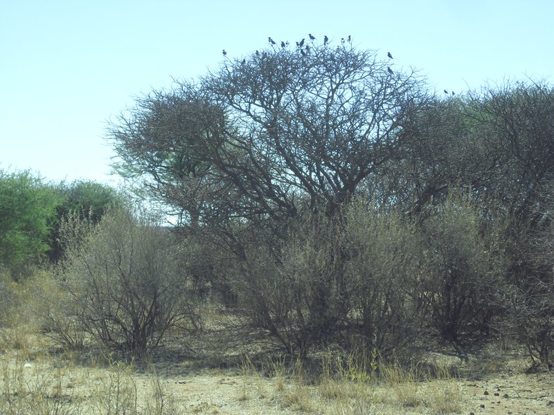 Image CIMG9002.JPG