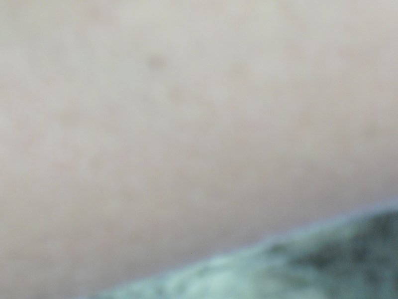 Image CIMG9004.JPG