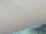 CIMG9004 thumb