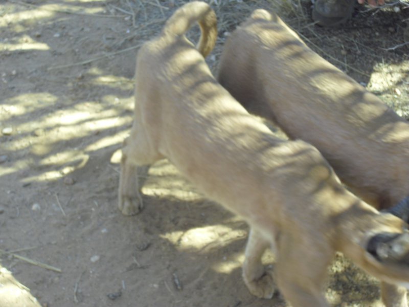 Image CIMG9005.JPG