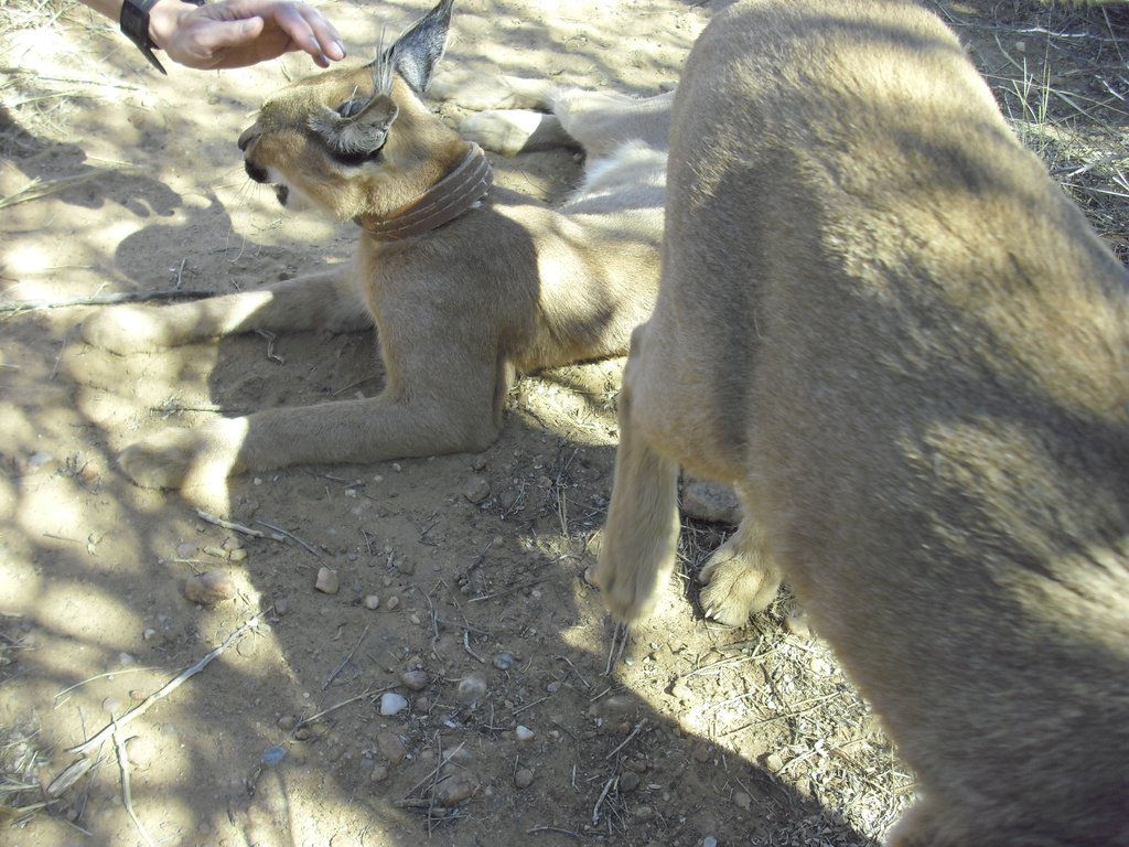 Image CIMG9012.JPG
