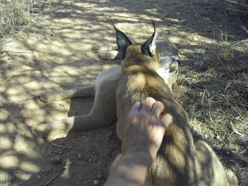 Image CIMG9013.JPG