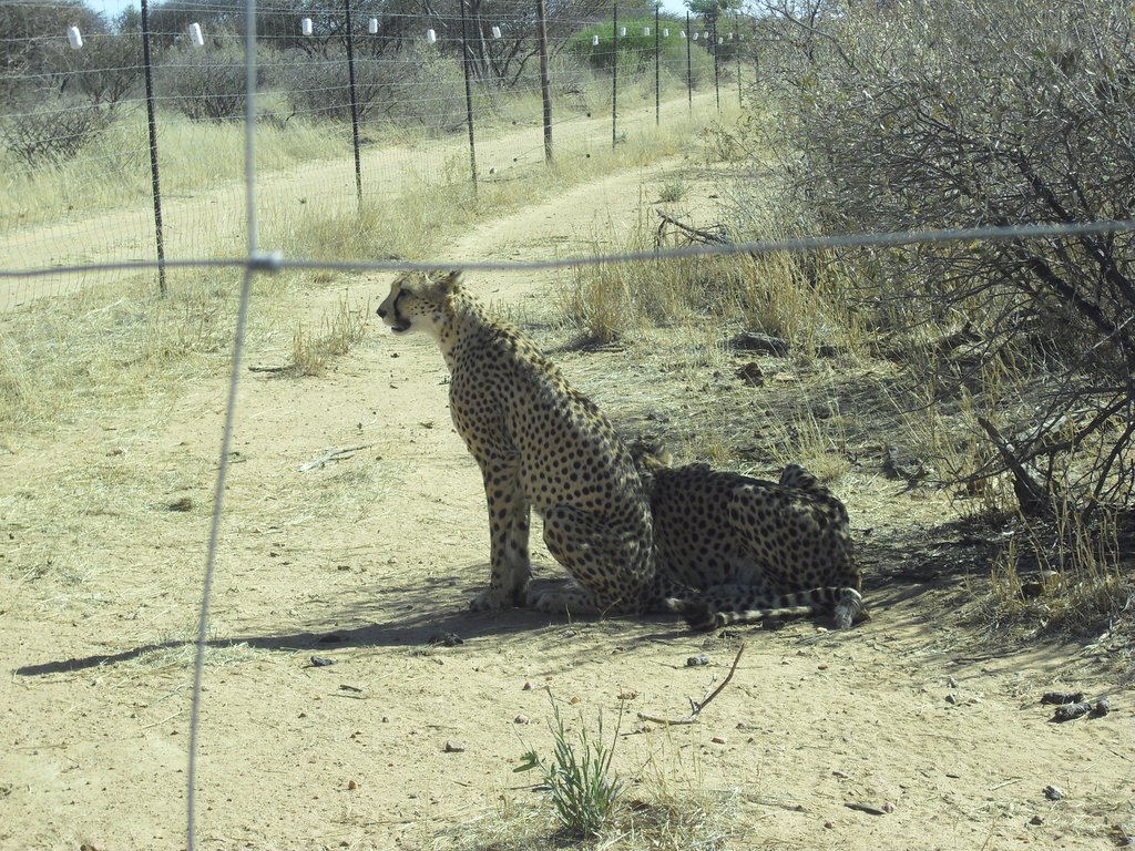 Image CIMG9032.JPG