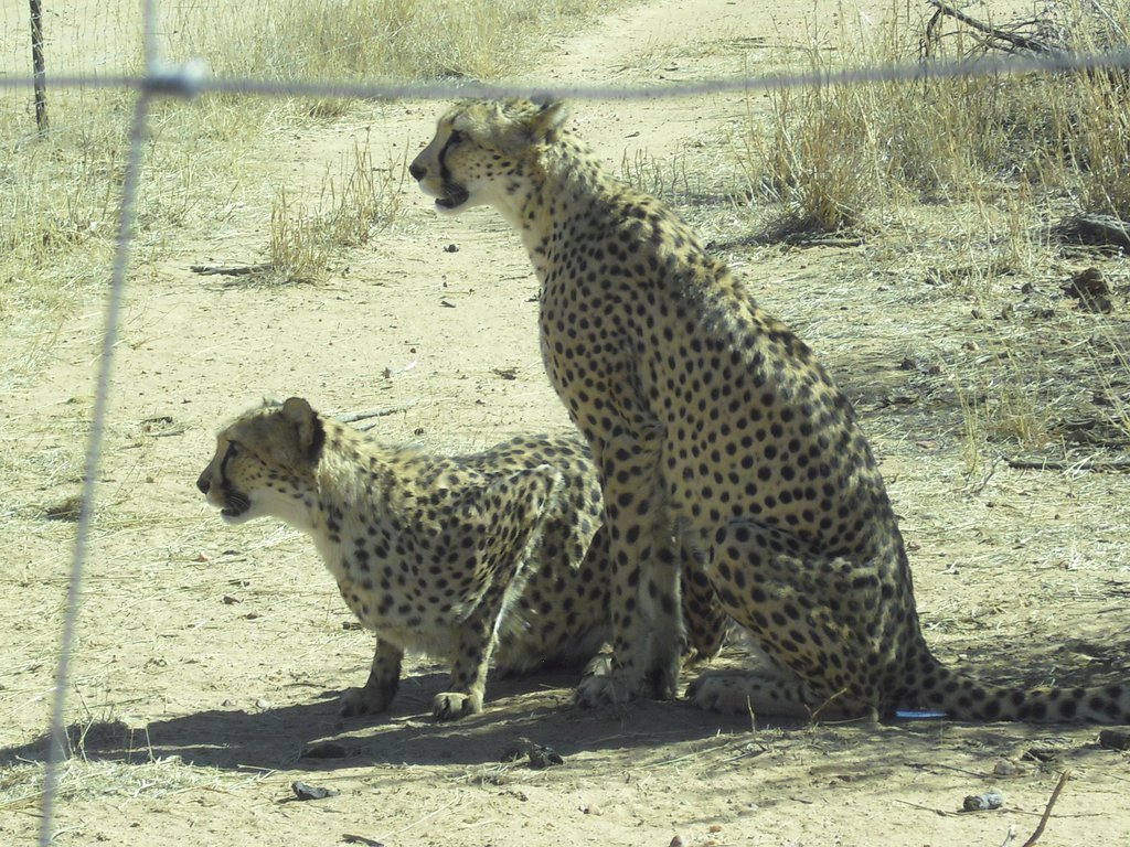 Image CIMG9035.JPG