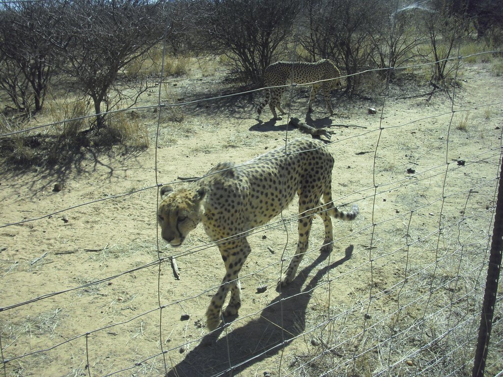 Image CIMG9036.JPG