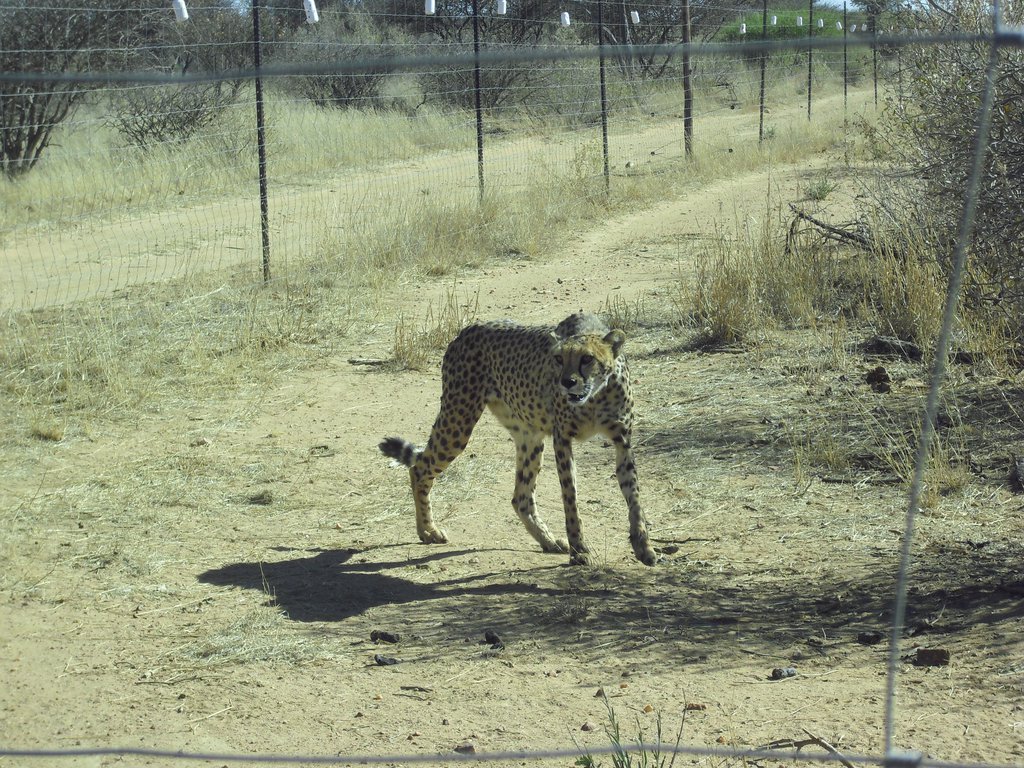Image CIMG9045.JPG