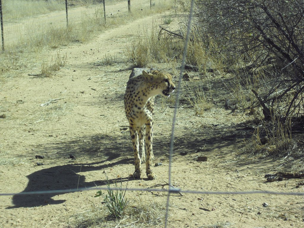 Image CIMG9046.JPG