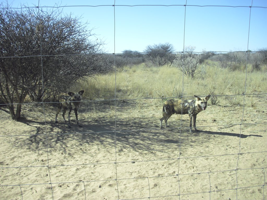 Image CIMG9048.JPG