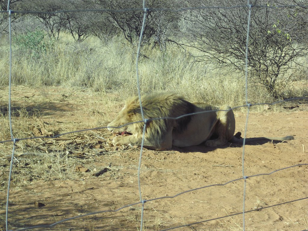 Image CIMG9066.JPG