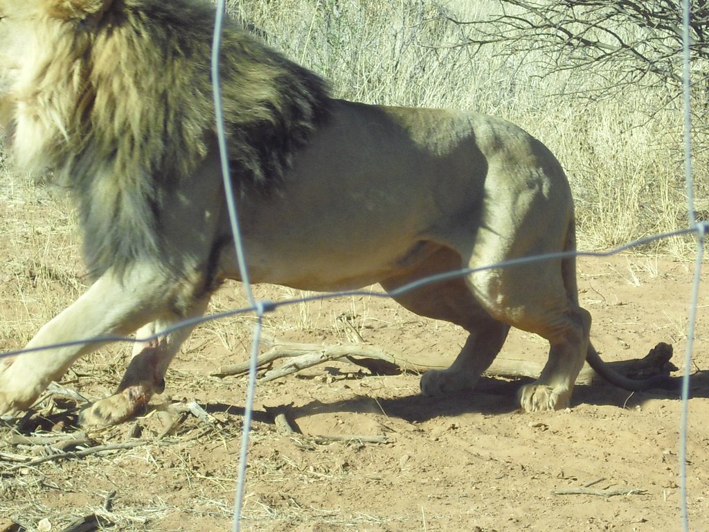 Image CIMG9067.JPG