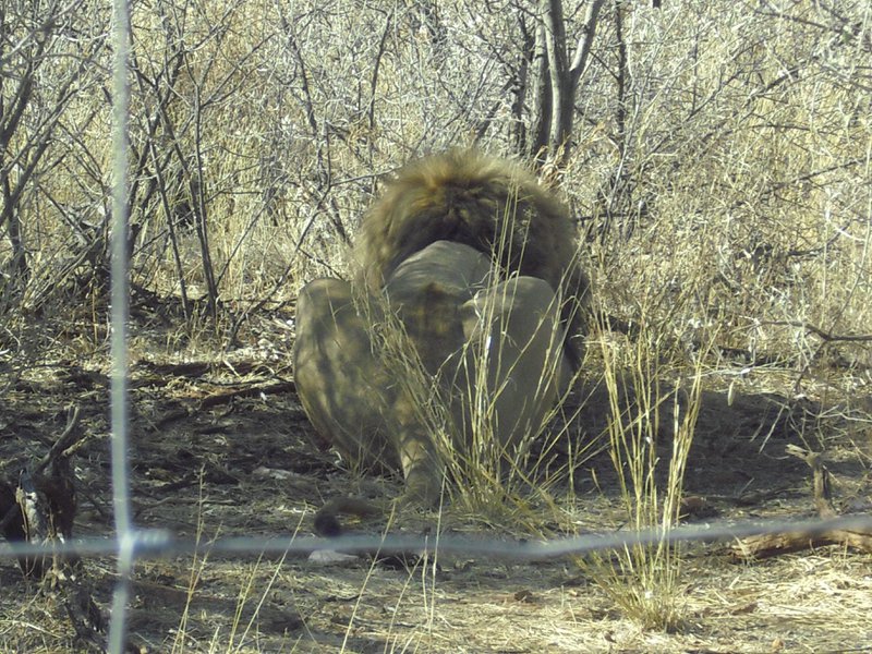 Image CIMG9069.JPG