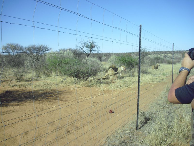 Image CIMG9077.JPG