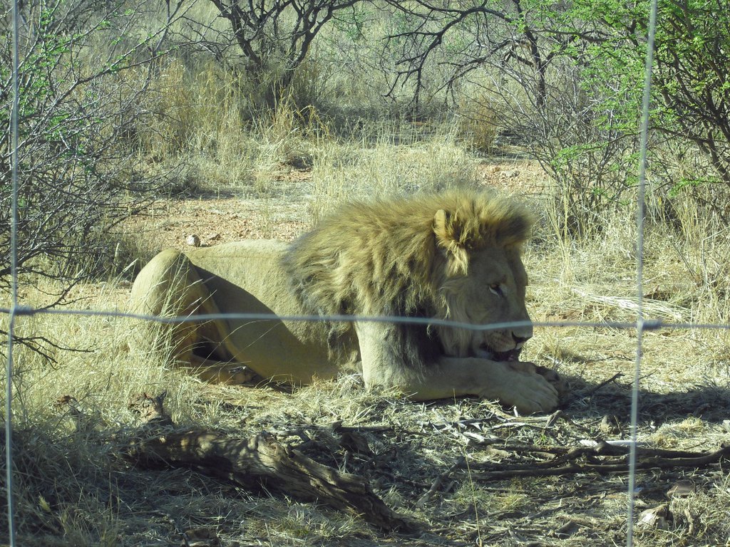 Image CIMG9084.JPG