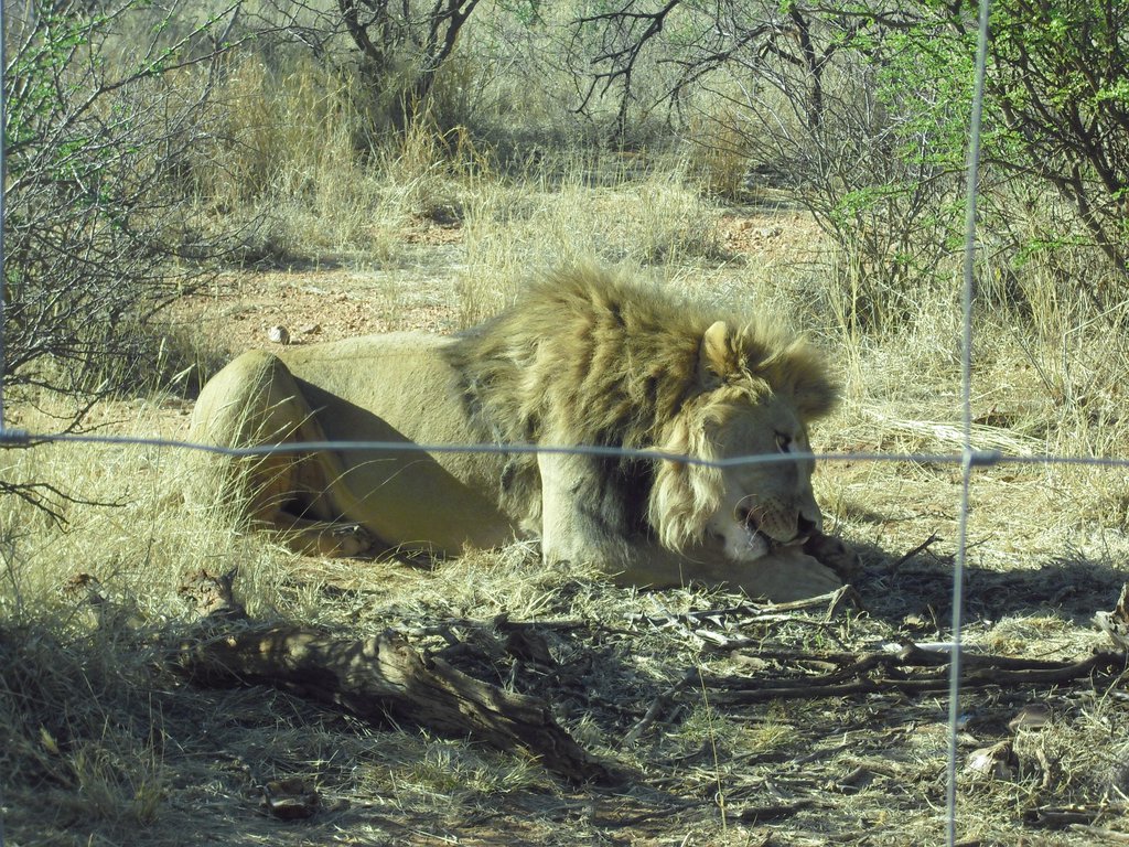 Image CIMG9085.JPG