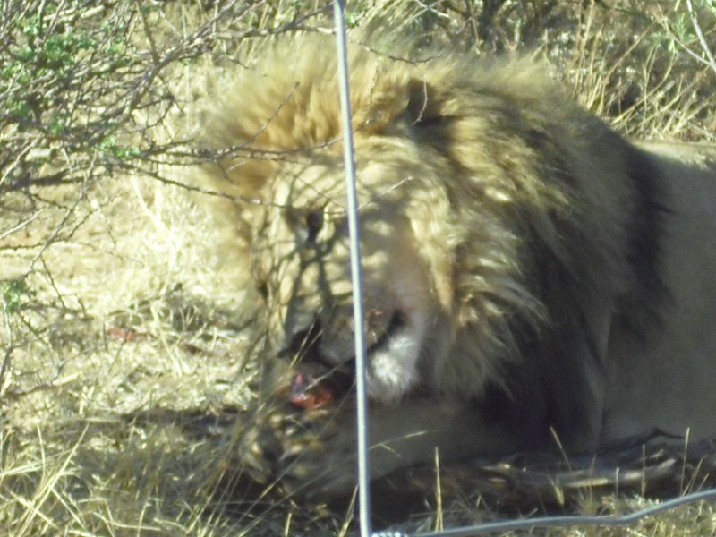Image CIMG9097.JPG