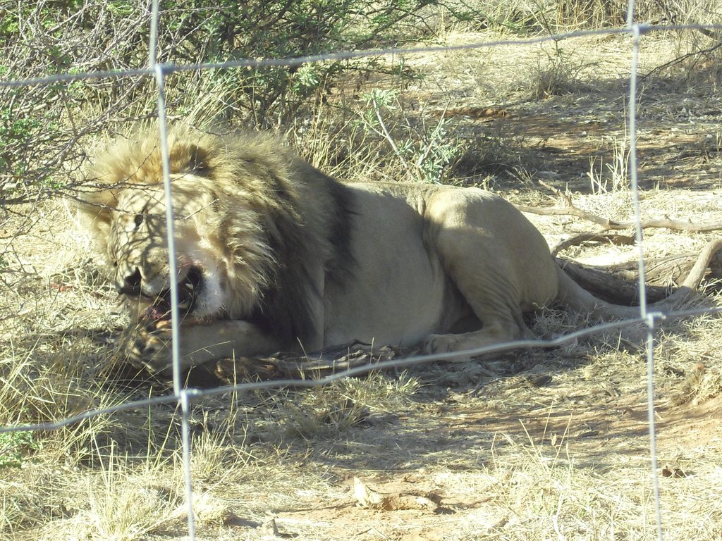 Image CIMG9098.JPG