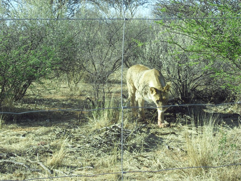 Image CIMG9105.JPG