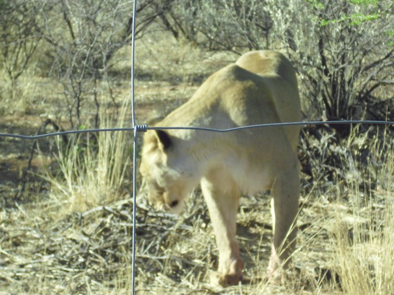 Image CIMG9106.JPG