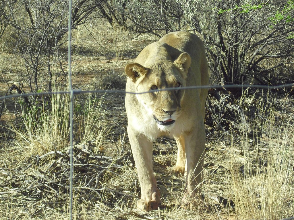 Image CIMG9107.JPG