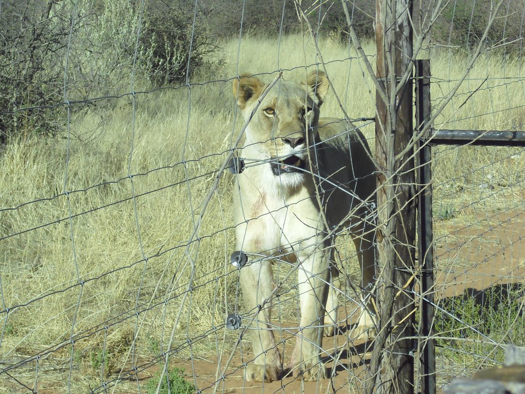 Image CIMG9108.JPG