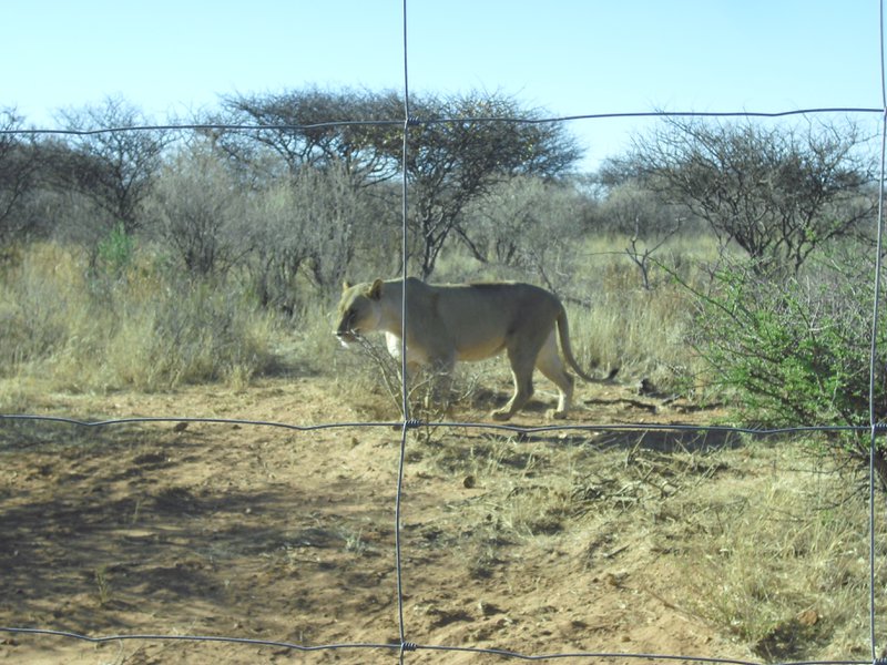 Image CIMG9113.JPG