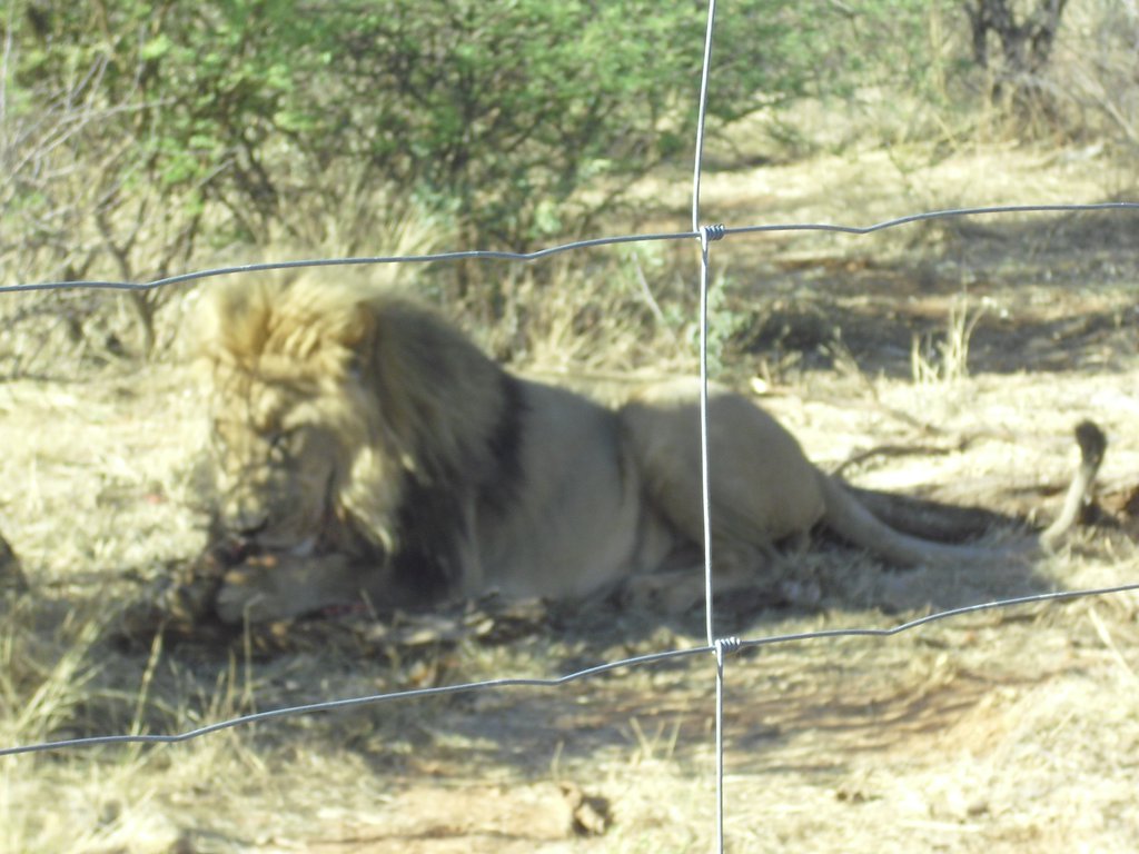 Image CIMG9121.JPG