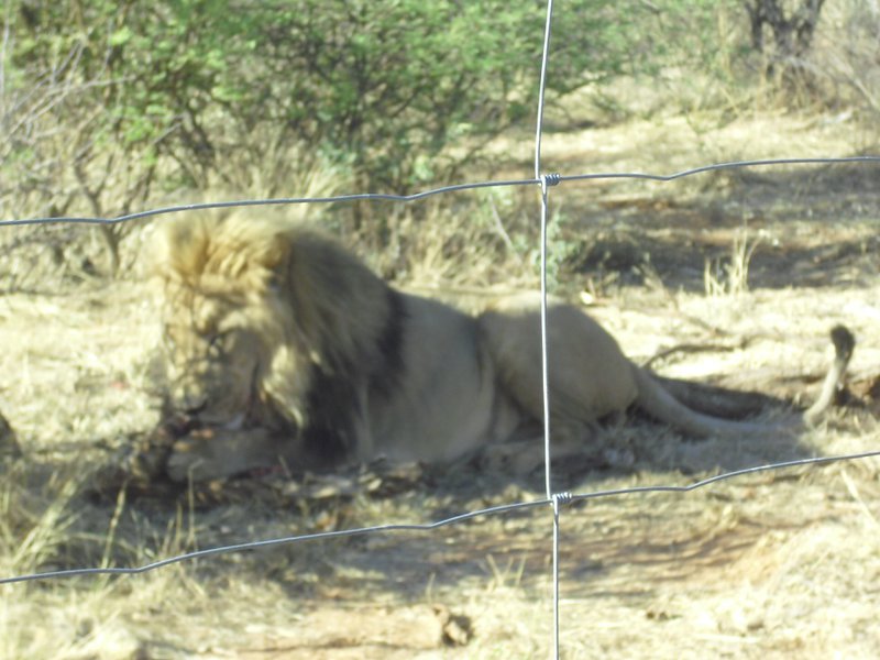 Image CIMG9121.JPG