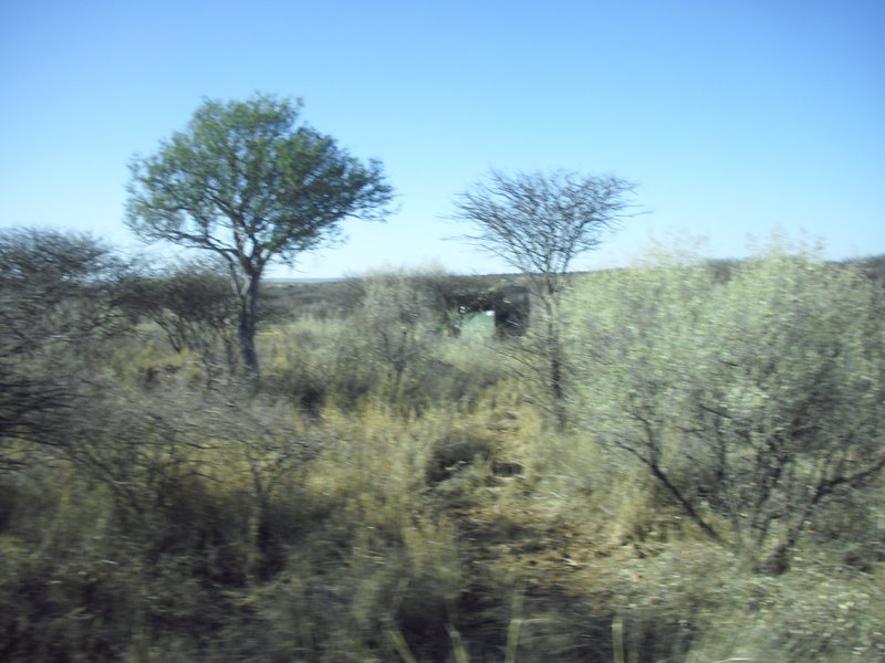 Image CIMG9124.JPG