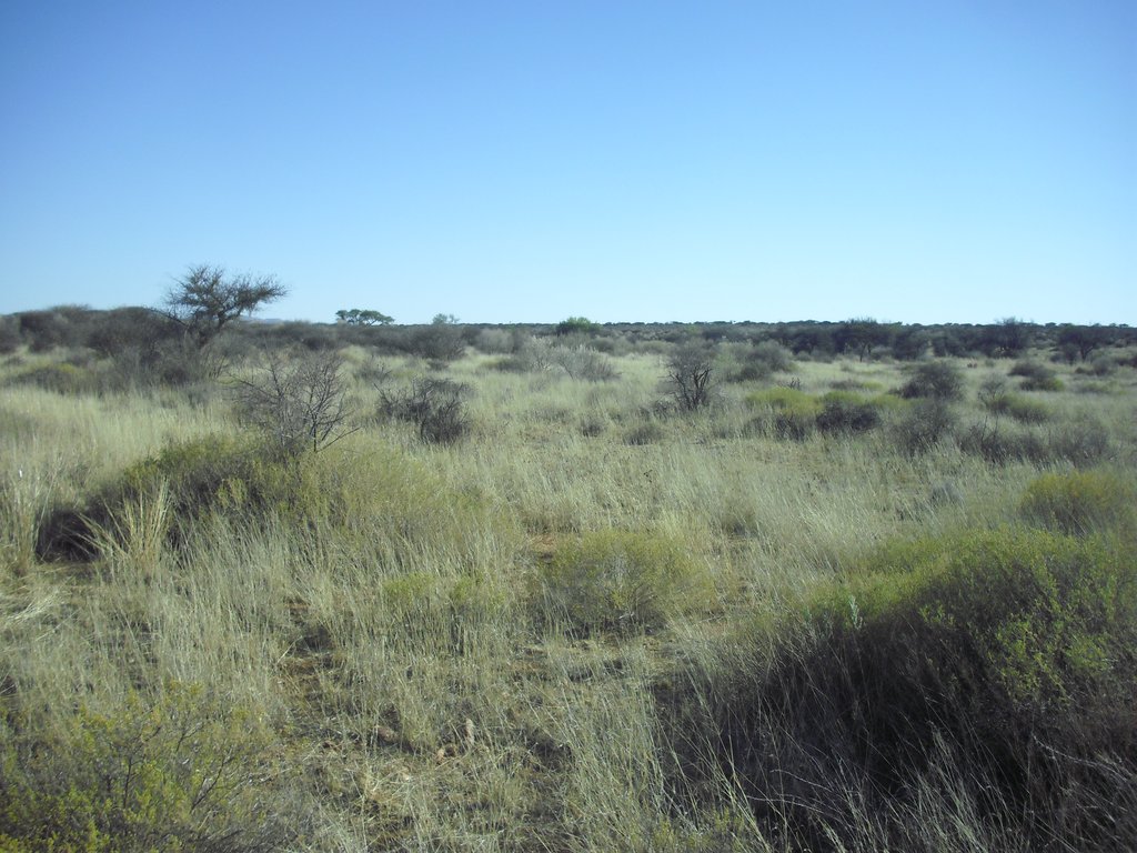 Image CIMG9130.JPG