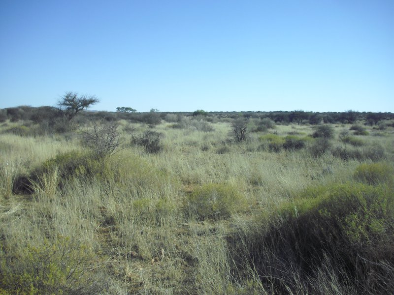 Image CIMG9130.JPG