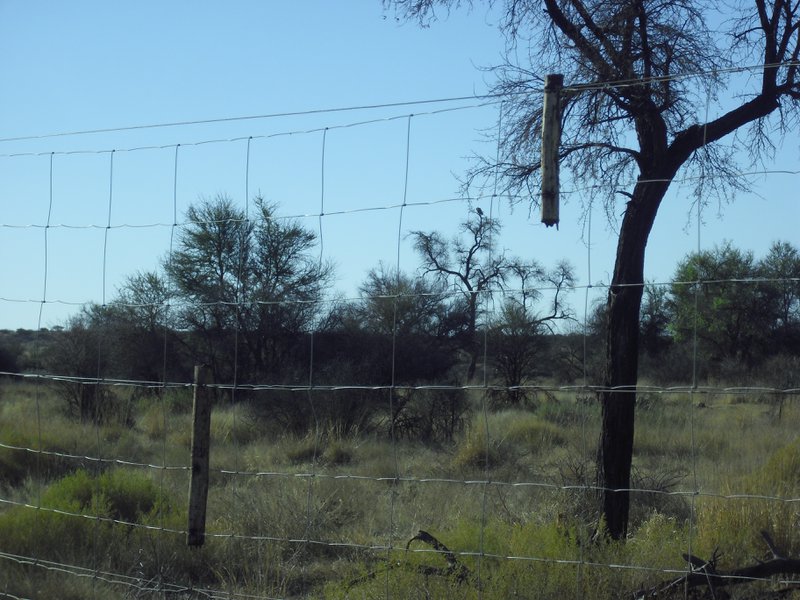 Image CIMG9132.JPG