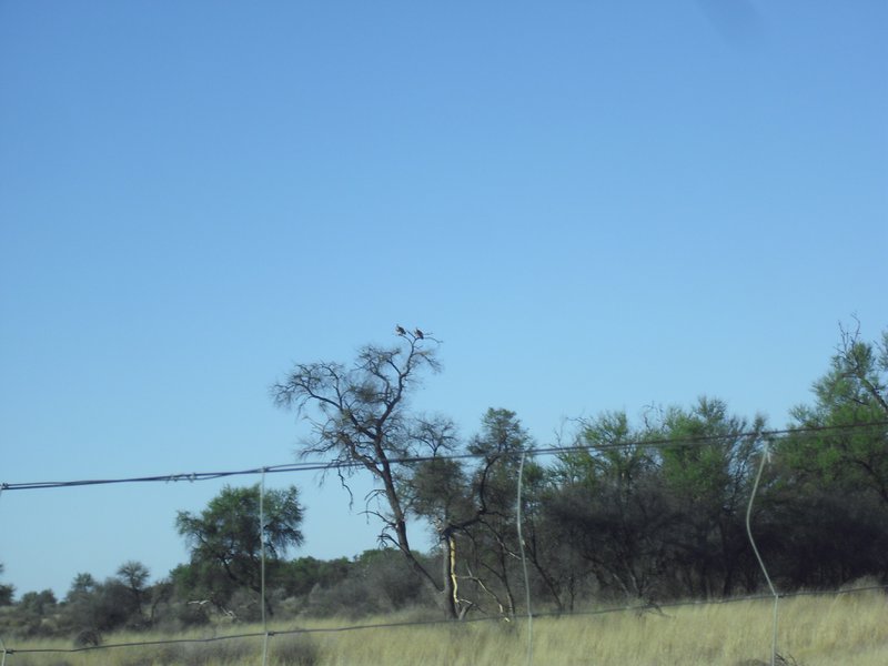 Image CIMG9134.JPG