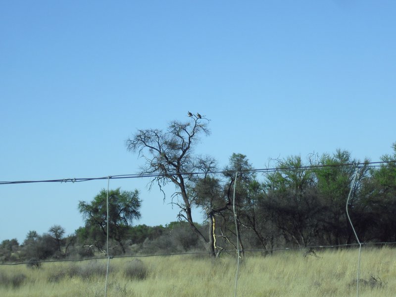 Image CIMG9135.JPG