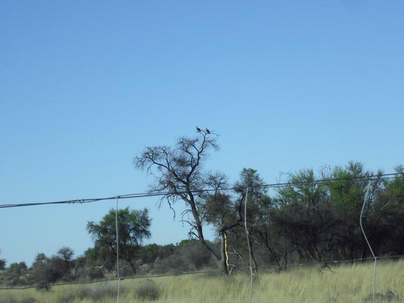 Image CIMG9136.JPG