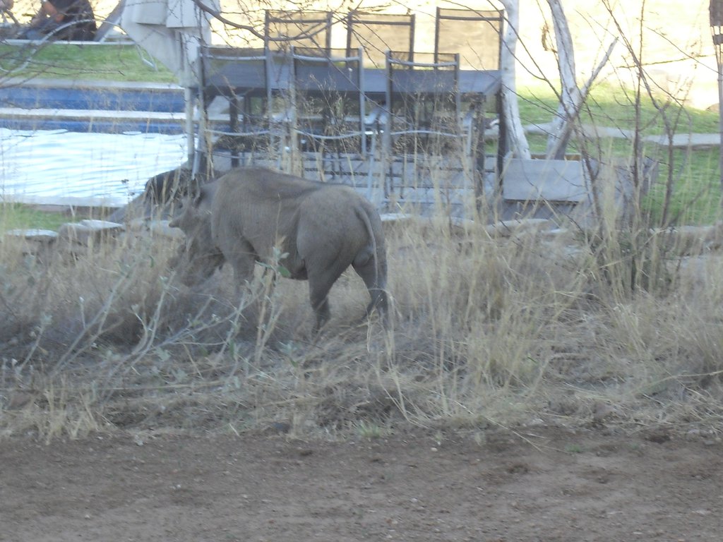 Image CIMG9140.JPG