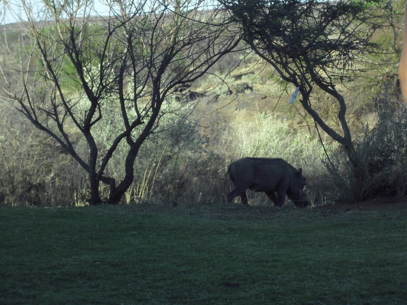 Image CIMG9145.JPG
