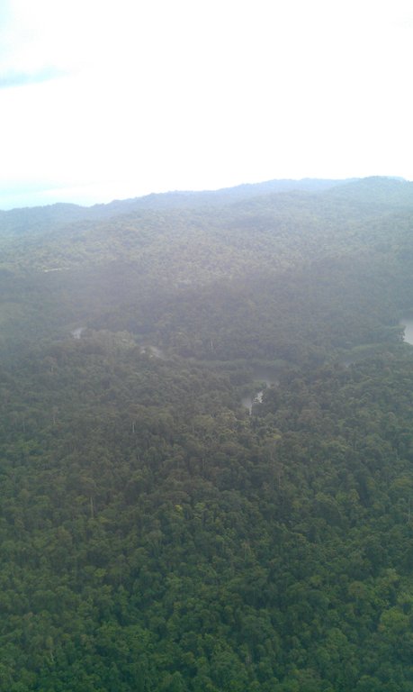 Image IMAG1729.jpg