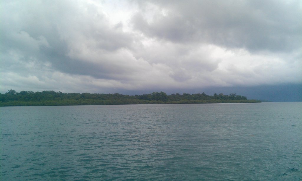 Image IMAG1754.jpg