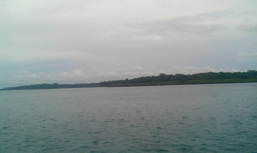 Image IMAG1755.jpg